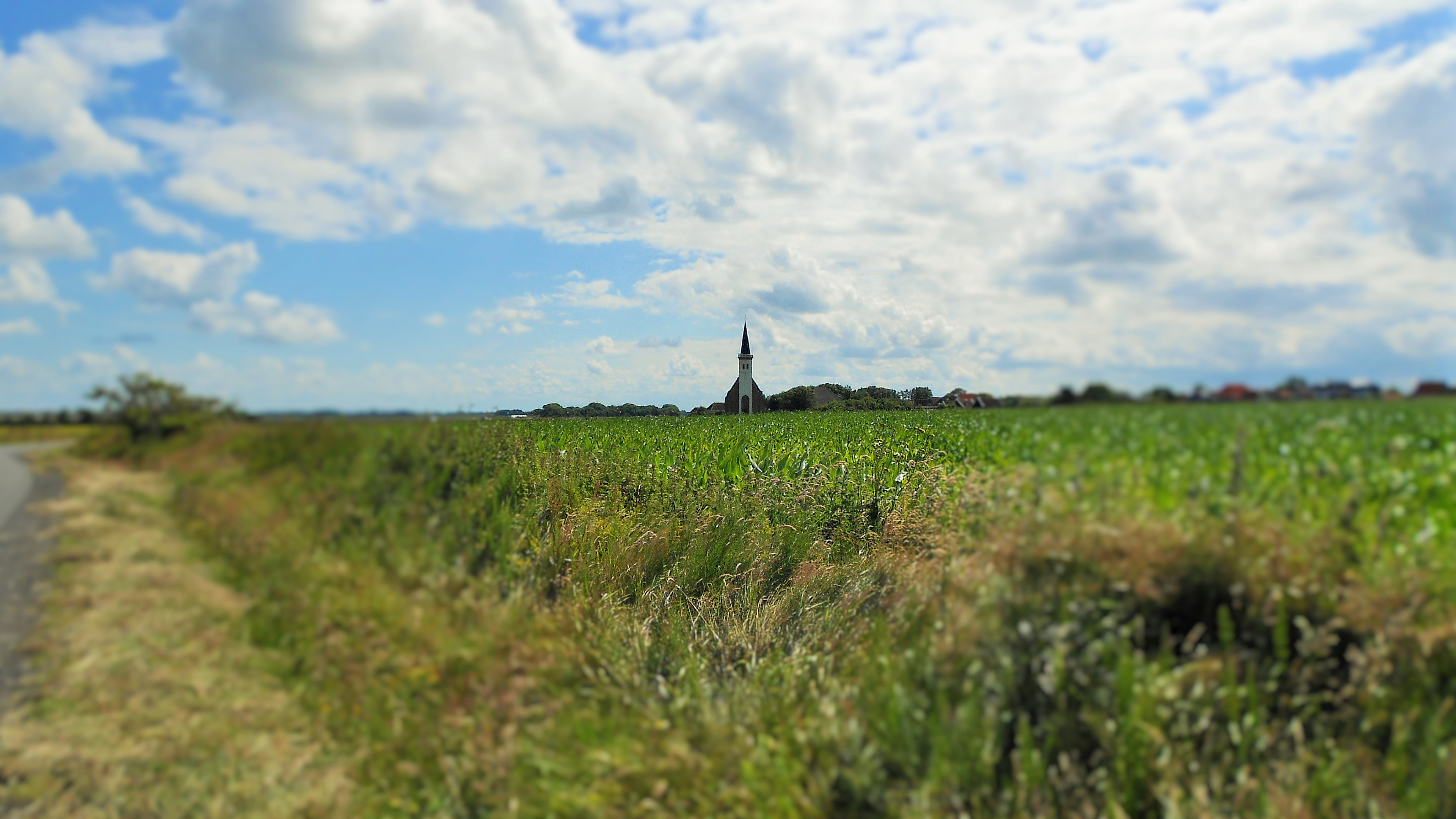 DSCN1794-2